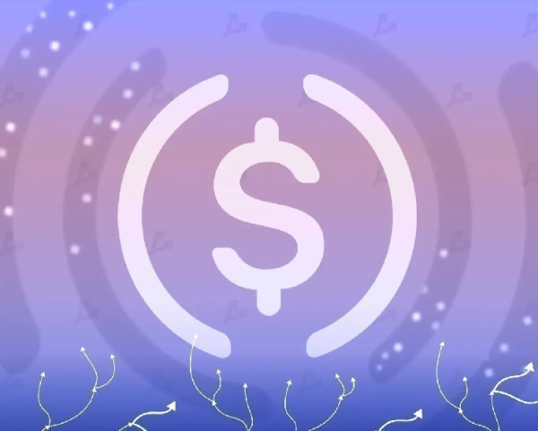 Circle отчиталась о годовой выручке в $2,7 млрд